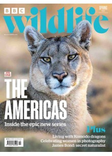 BBC Wildlife (UK) BBC Wildlife (UK)