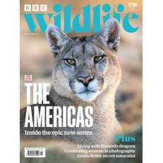 BBC Wildlife (UK) BBC Wildlife (UK)