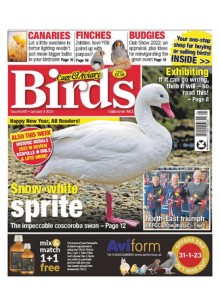 Cage & Aviary Birds (UK) Cage & Aviary Birds (UK)