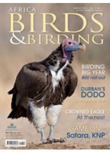 Africa - Birds & Birding
