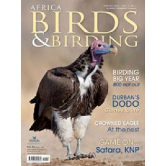Africa - Birds & Birding