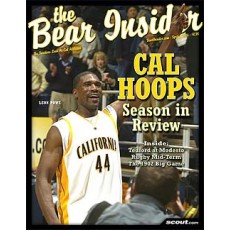 Bear Insider Bear Insider