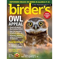Birders World