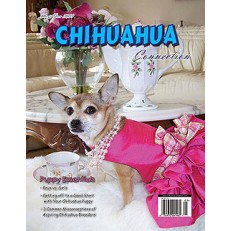 Chihuahua Connection Chihuahua Connection