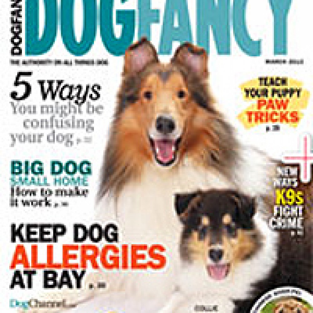 Dog Fancy Magazine Subscriber Services