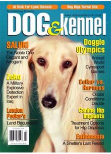 Dog & Kennel