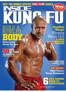 Inside Kung Fu