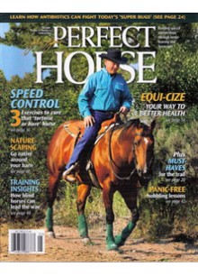 John Lyons' Perfect Horse