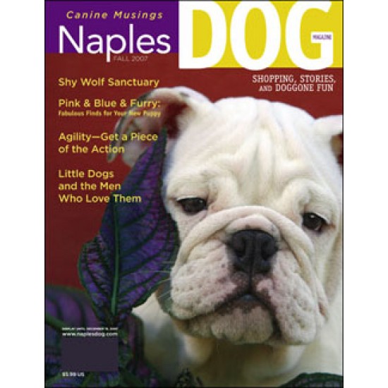 Naples Dog