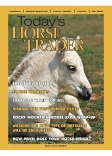Today's Horse Trader