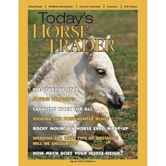 Today's Horse Trader