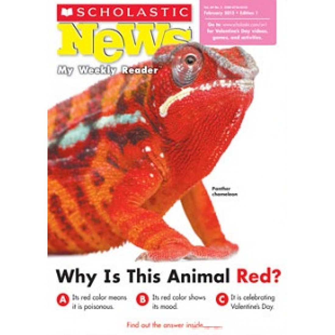 Weekly Reader Edition 1 Magazine Subscriber Services