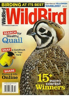 Wildbird