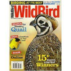 Wildbird Wildbird