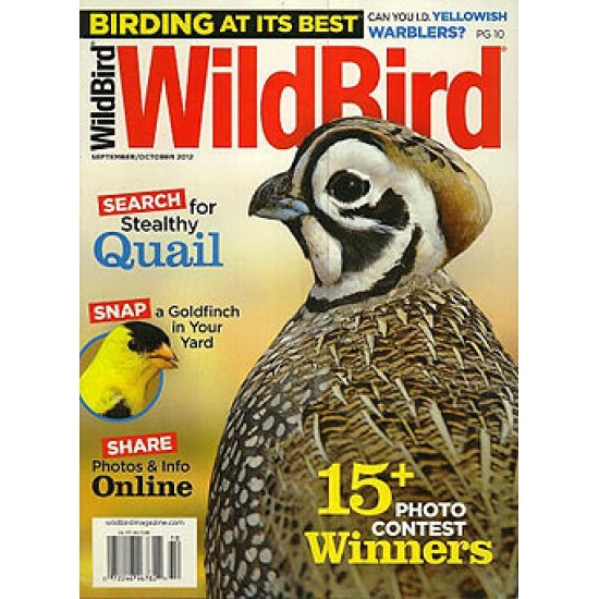 Wildbird