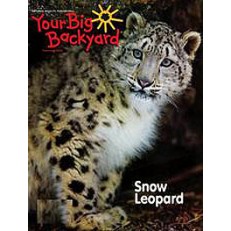 Your Big Backyard Your Big Backyard